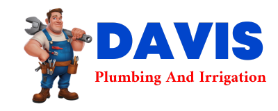 Trusted plumber in SAWYERVILLE